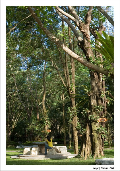 2006 - 08 - Pattaya - Crocodile farm parc 04